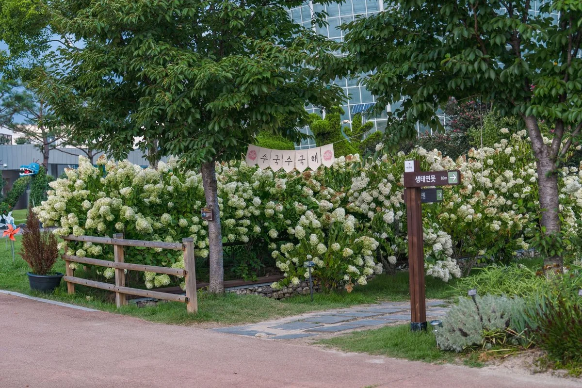 울산대공원 수국정원 - 울산여행 여행