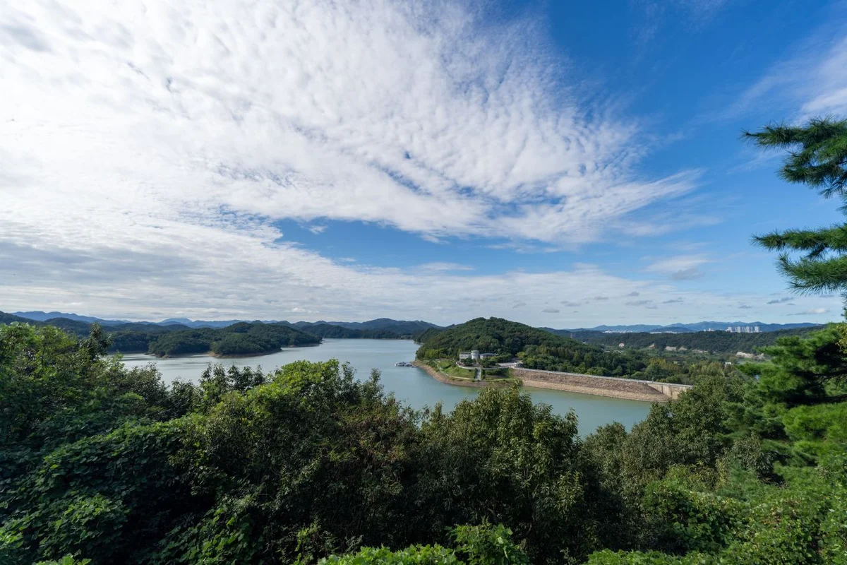 천상의정원 수생식물학습원 - 대청호 여행