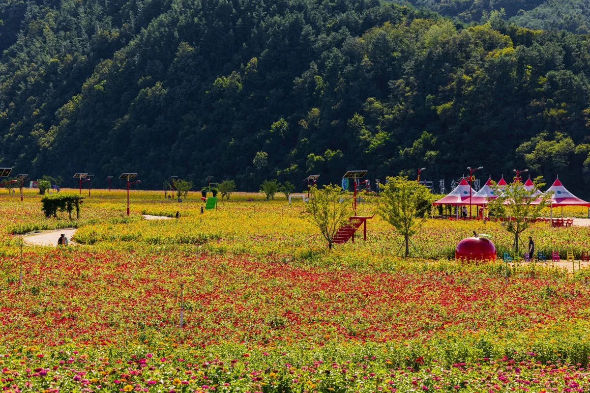 산소카페 청송정원 - 청송여행 여행