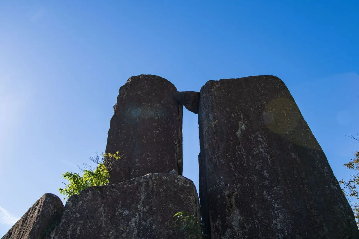 헬로애니멀 광주점 - 무등산 여행