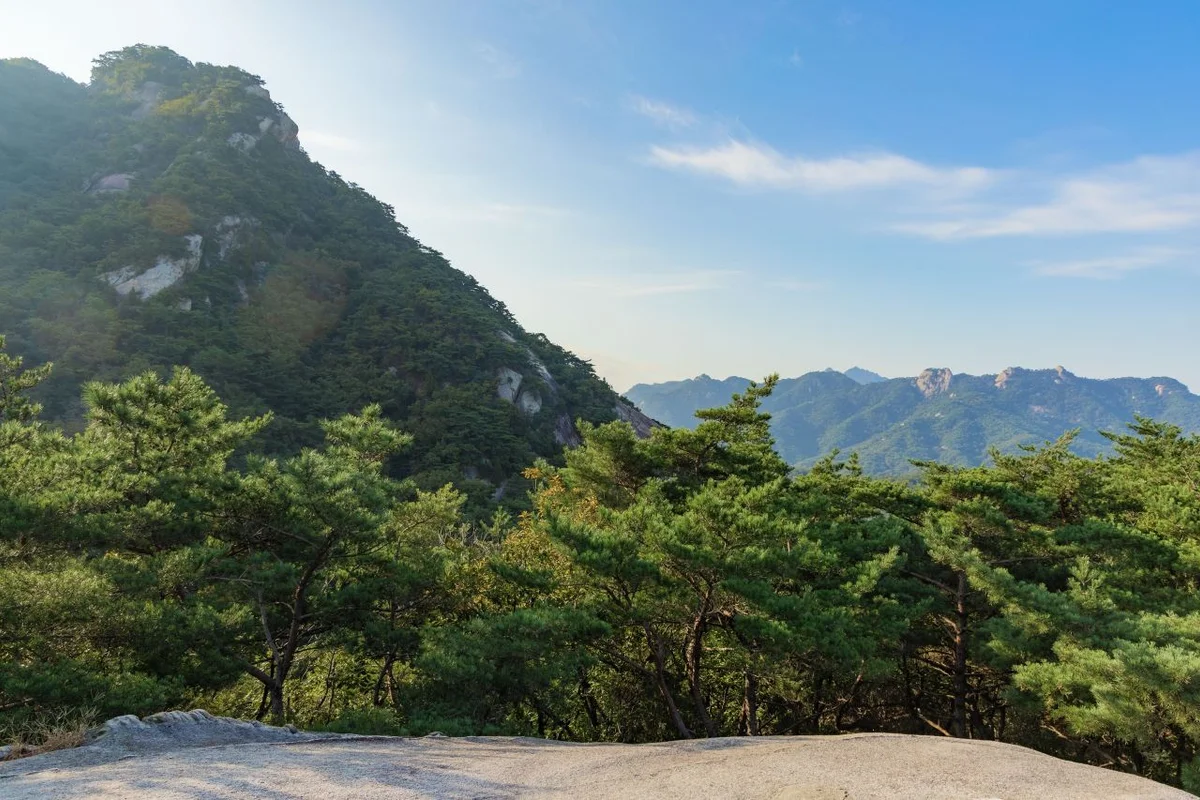 도봉 횟집과 함께하는 2026 도봉 여행 코스 - 도봉구 여행