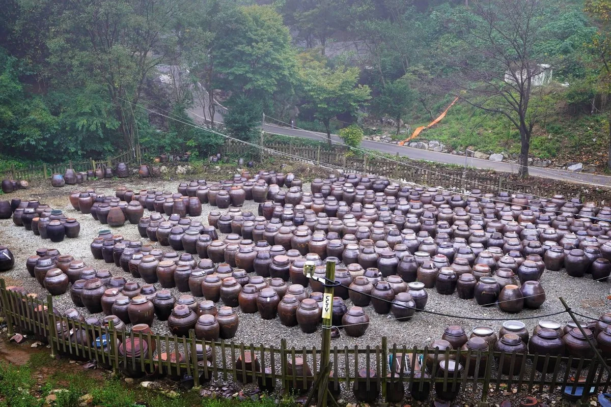 영평사 - 세종여행 여행
