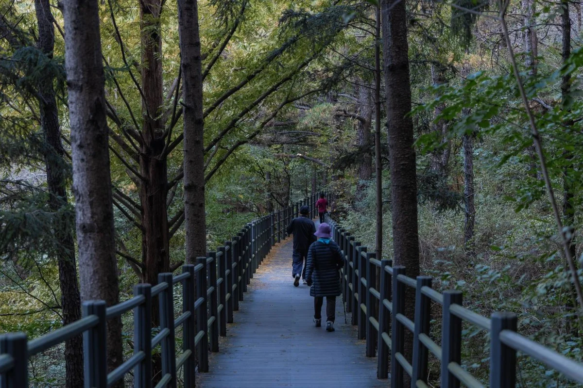 안산자락길 - 서대문 여행