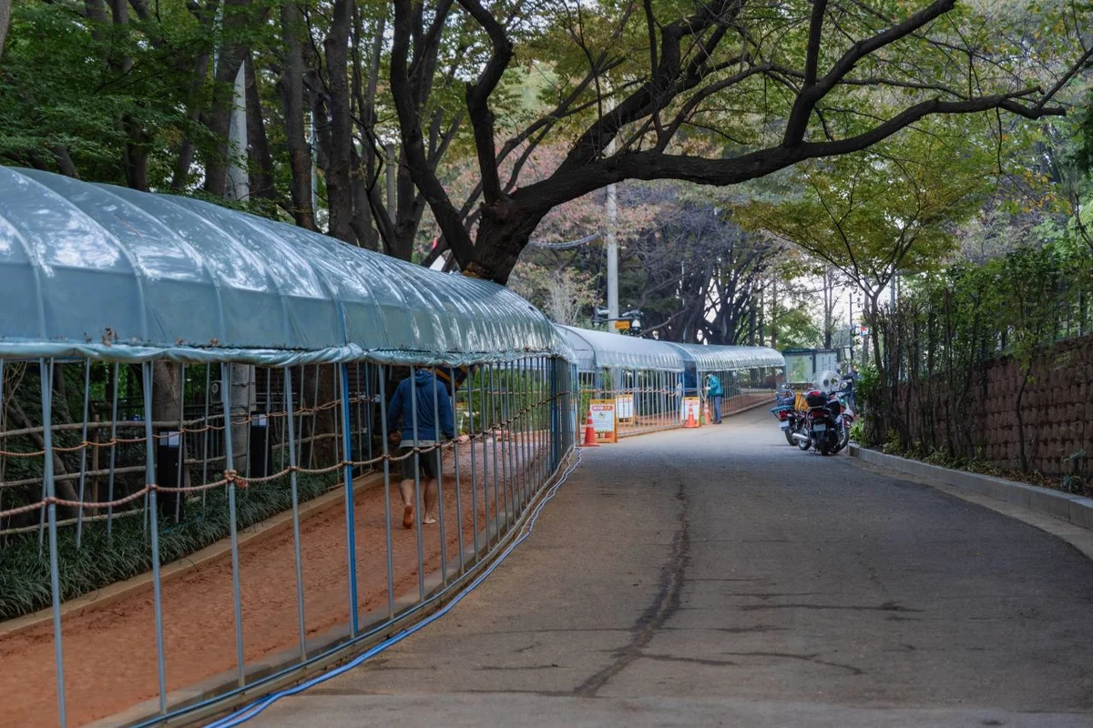 서대문 안산 - 서대문 여행