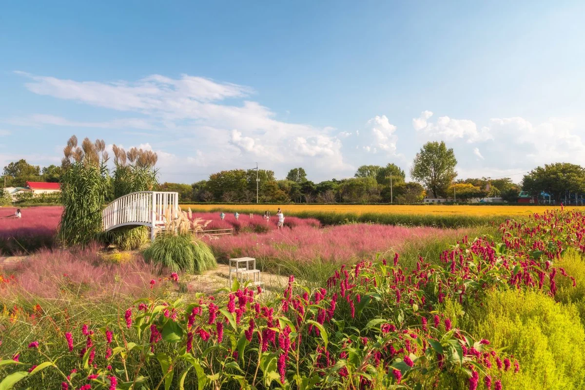 평택 유아 동반 (출처 : 한국관광공사)