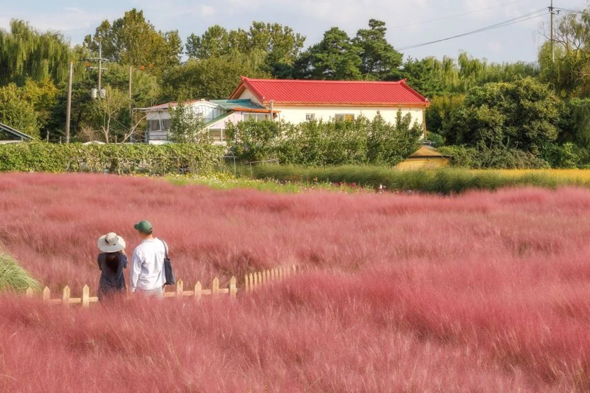 바람새마을 - 평택 여행