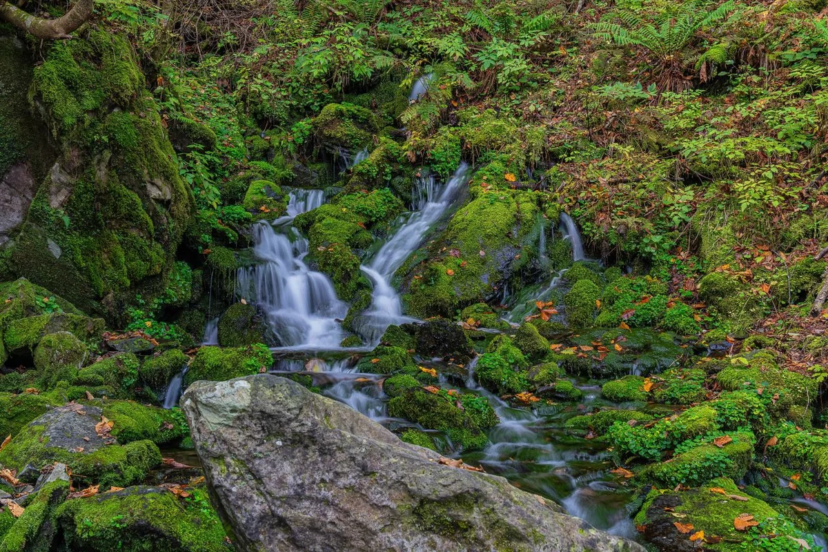 정선 봄 가볼만한곳 (출처 : 한국관광공사)