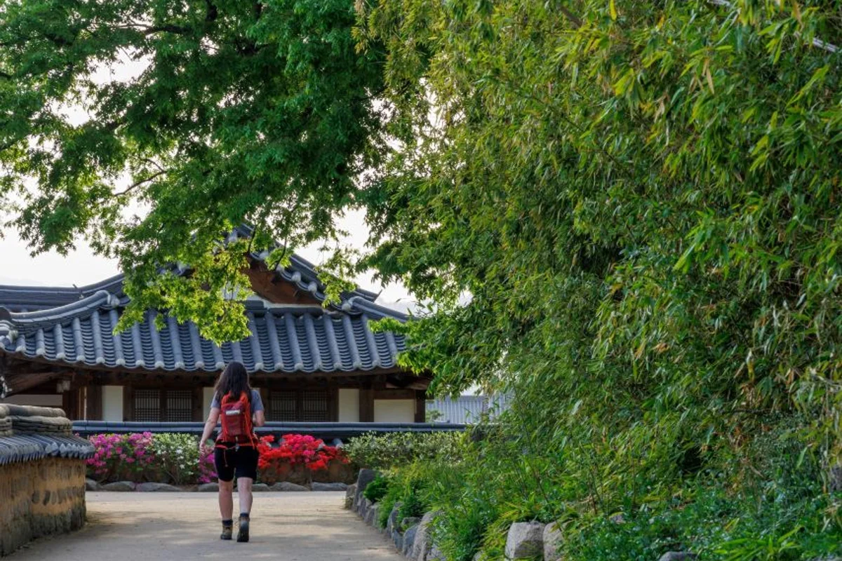 남산 순환도로 - 4월서울벚꽃 여행