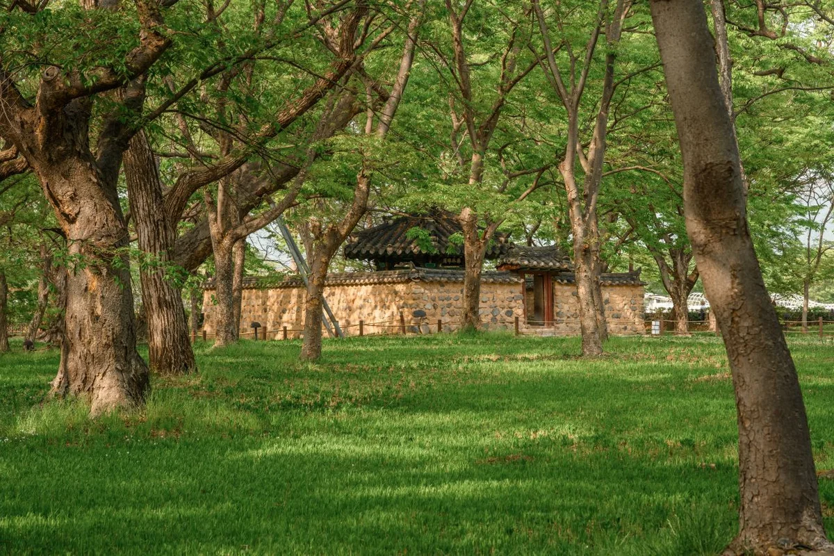 진해 경화역 벚꽃길 - 경남여행 여행