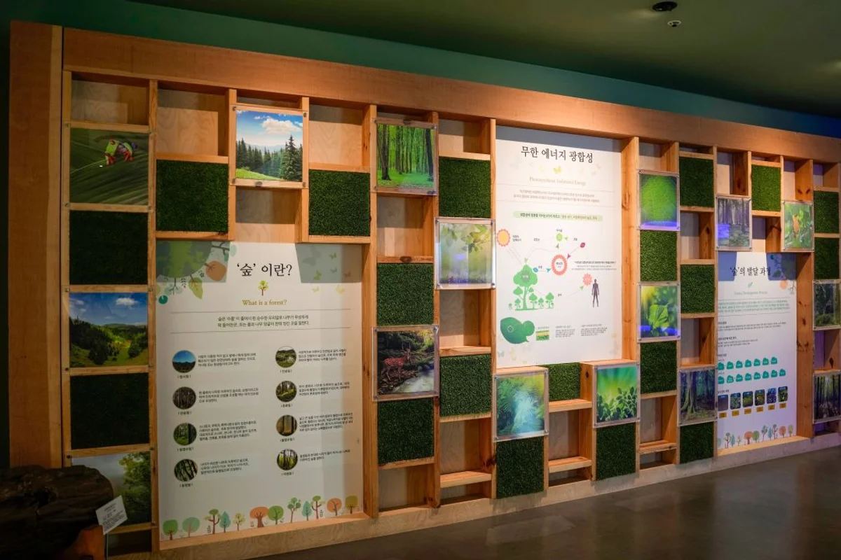 디투어스 캠프클럽 제천 - 충북 여행 여행