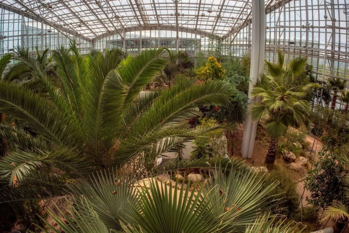 대전 관광지 2026년 봄 BEST 5 둘러보기 - 대전여행 여행