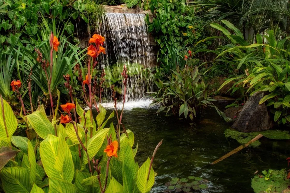 대전오월드 - 대전여행 여행