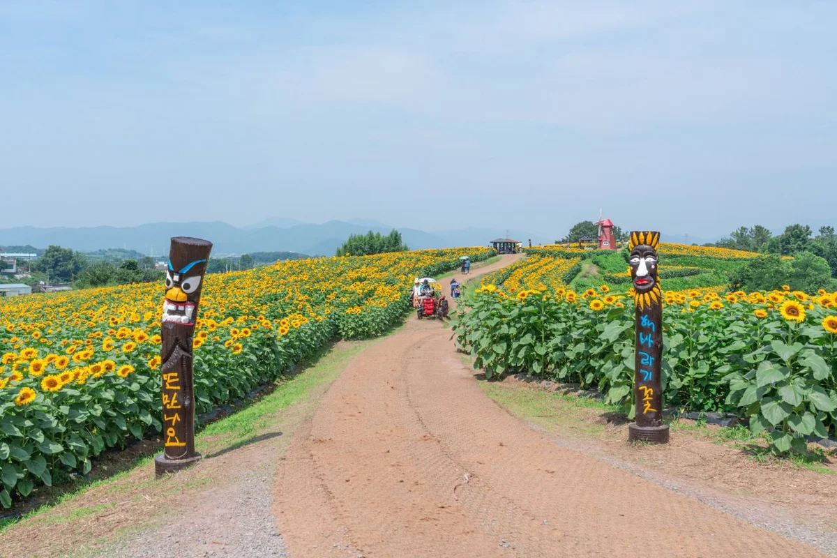 함안군 관광 (출처 : 한국관광공사)
