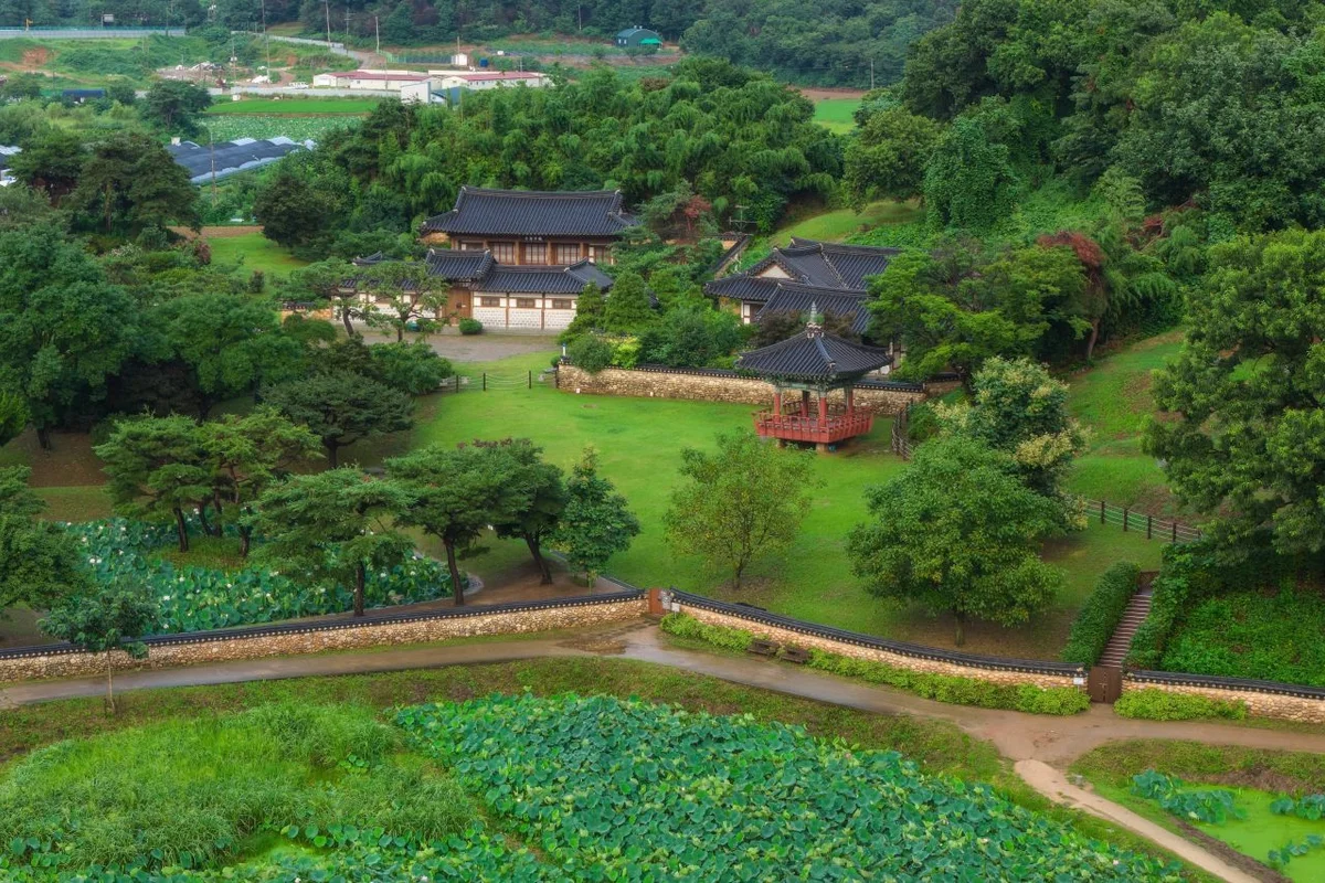 파라다이브 - 시흥수상레저 여행