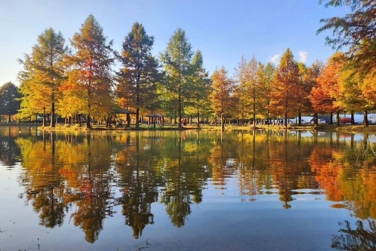 담양 메타세쿼이아길 - 담양여행 여행
