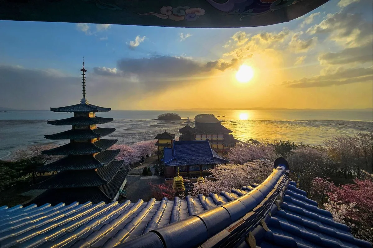 서산 동백꽃 명소, 놓칠 수 없는 매력 - 서산여행 여행