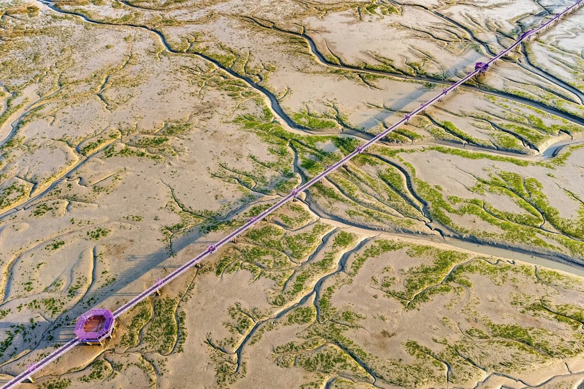 신안 퍼플섬 - 신안여행 여행