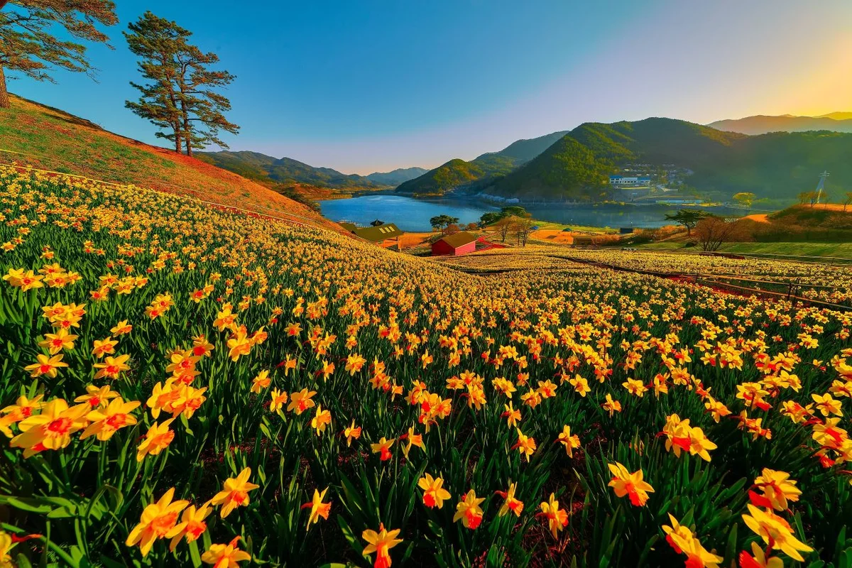 지리산치즈랜드 - 구례여행 여행