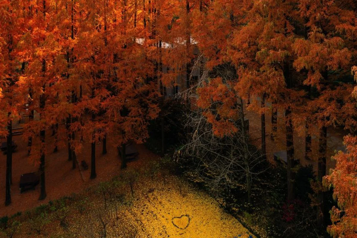 장태산자연휴양림 - 대전여행 여행