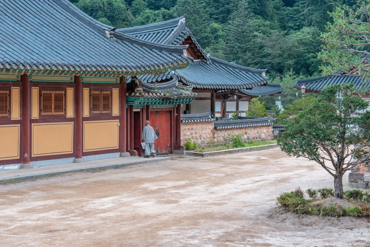 오대산 자연명상마을 옴뷔 - 월정사 여행