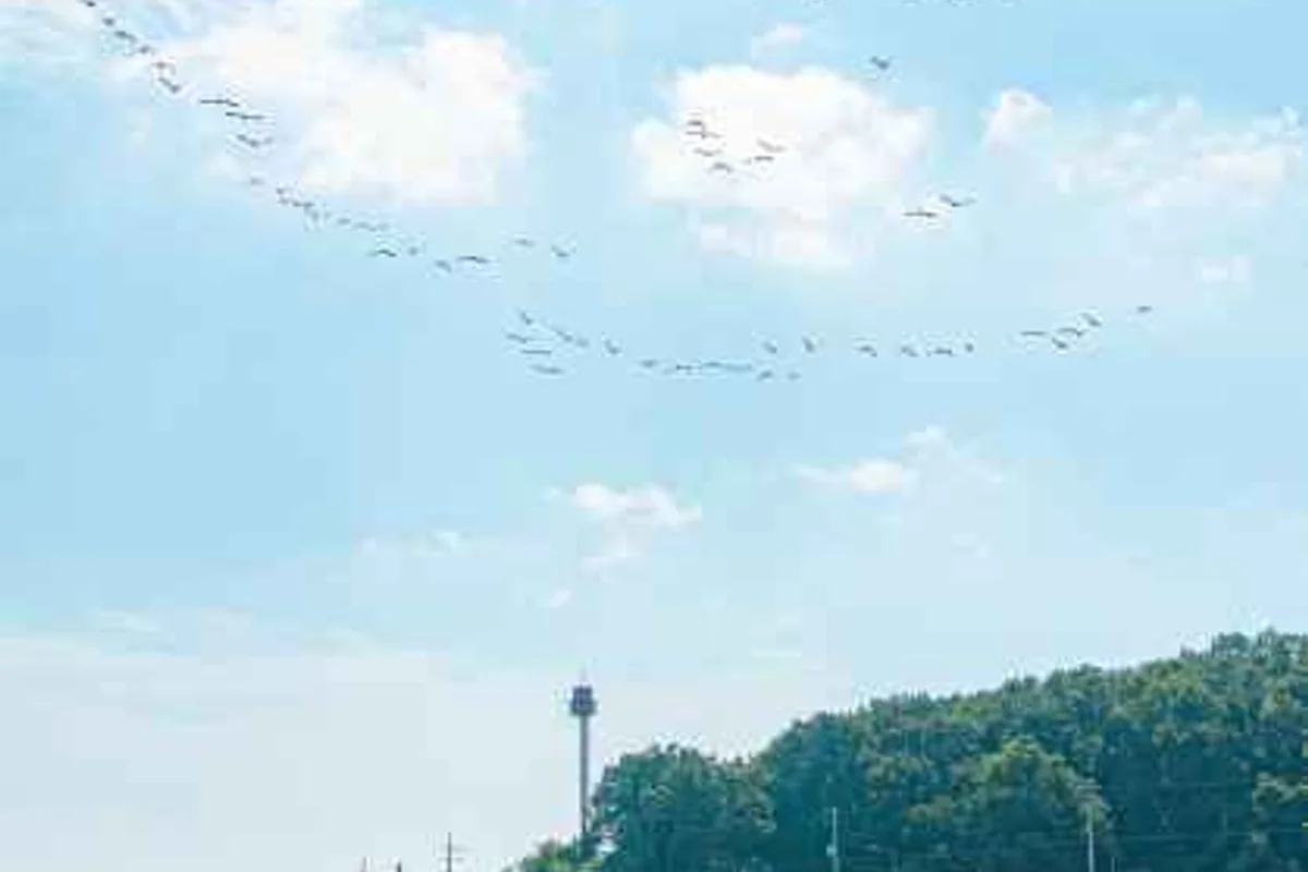 인천 공항 장기 주차 비용 (출처 : 한국관광공사)