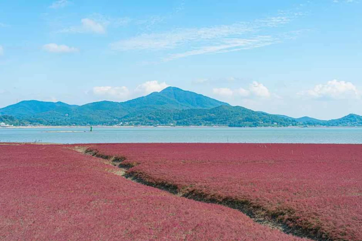 공항 라운지 (프리미엄 휴식 공간) - 인천 공항 노숙 여행