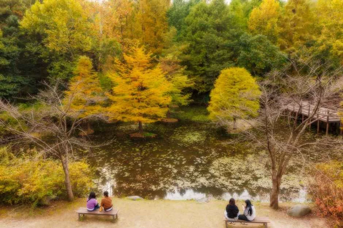 물향기수목원 - 오산시 여행