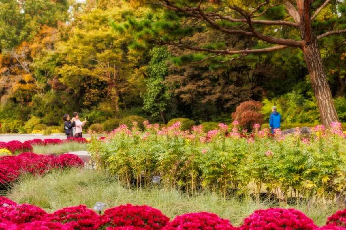 경기도국민안전체험관 - 오산여행 여행