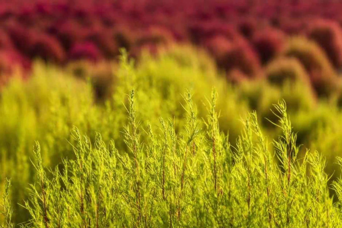 연천군 가볼만한곳 (출처 : 한국관광공사)