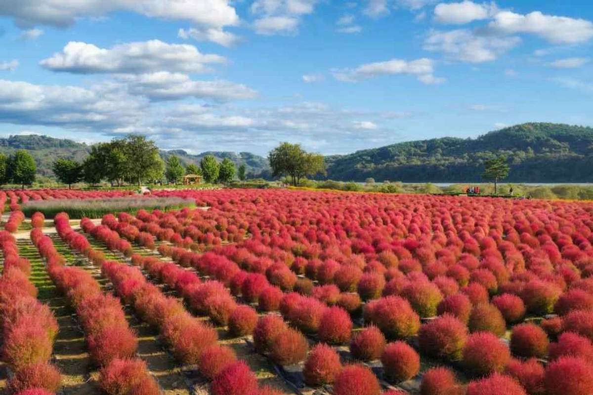 연천전곡리유적 - 연천군 여행