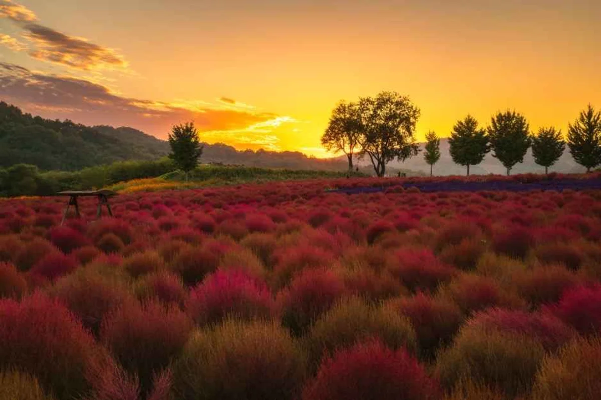 허브빌리지 - 연천군 여행