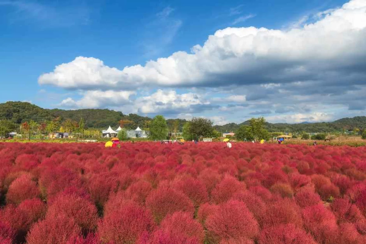 동이리주상절리 - 연천군 여행