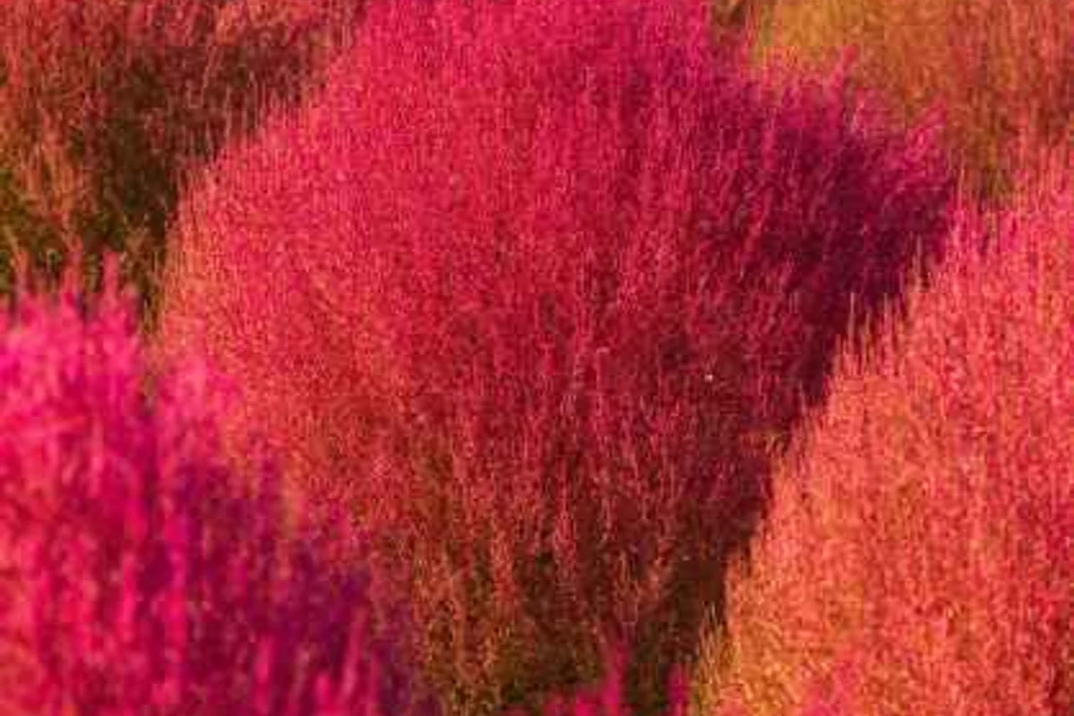 허브빌리지 - 연천여행 여행