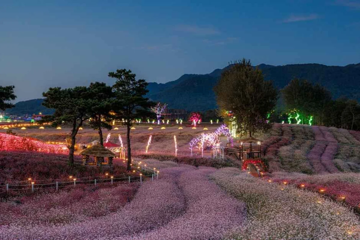 철원학마을캠프 - 철원캠핑 여행