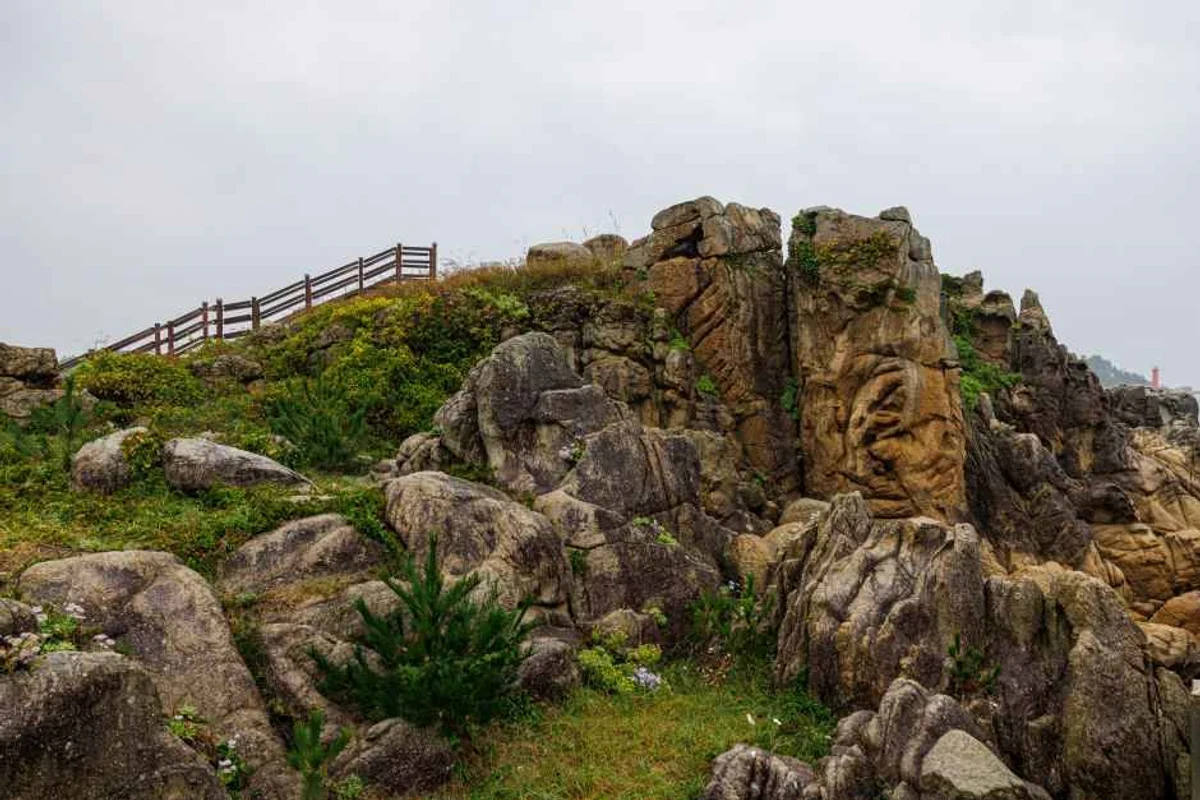 하늬라벤더팜 - 고성 여행 여행