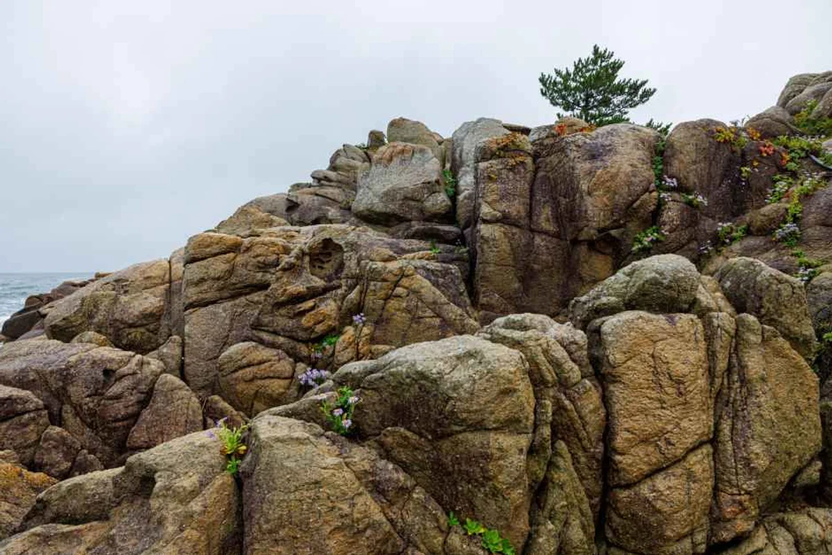 고성통일전망타워 - 고성 여행 여행