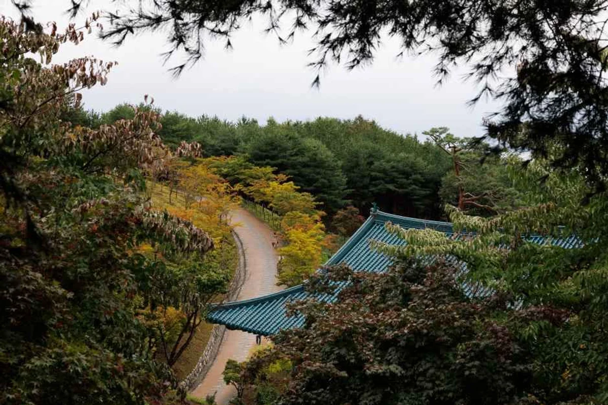 양양시장 - 양양 여행
