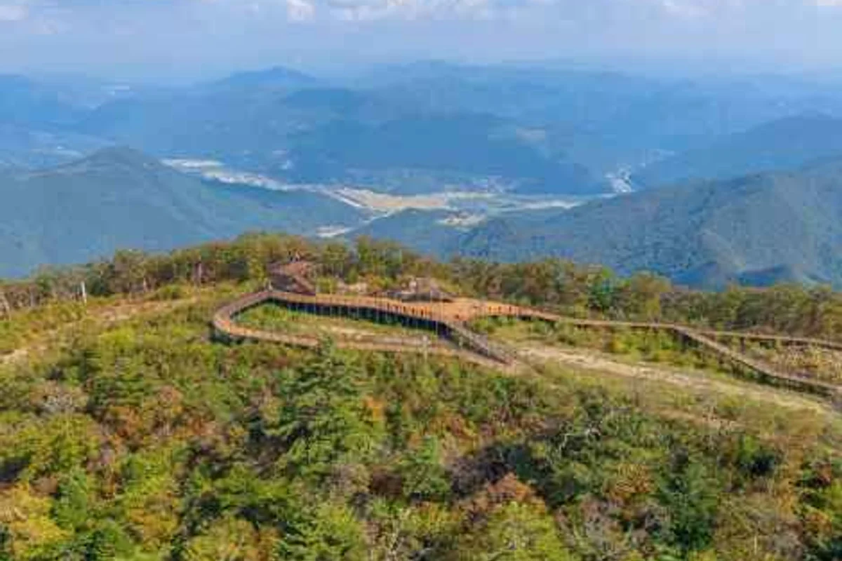 정선패러마을: 정선군 패러글라이딩의 중심 - 정선여행 여행