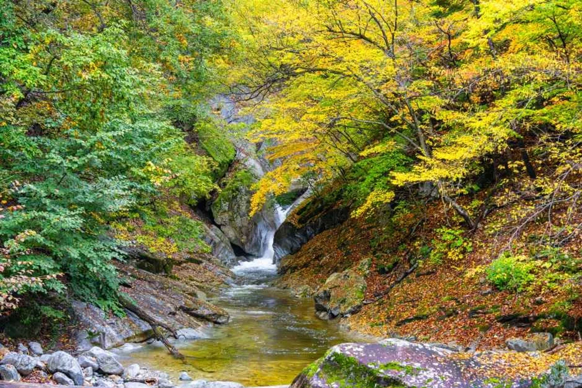 인제군 볼거리 (출처 : 한국관광공사)