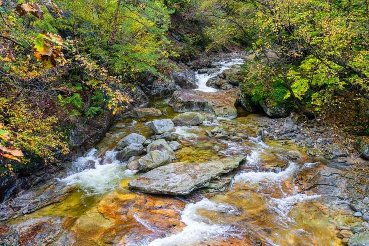 한화리조트 설악 워터피아 - 설악산여행 여행