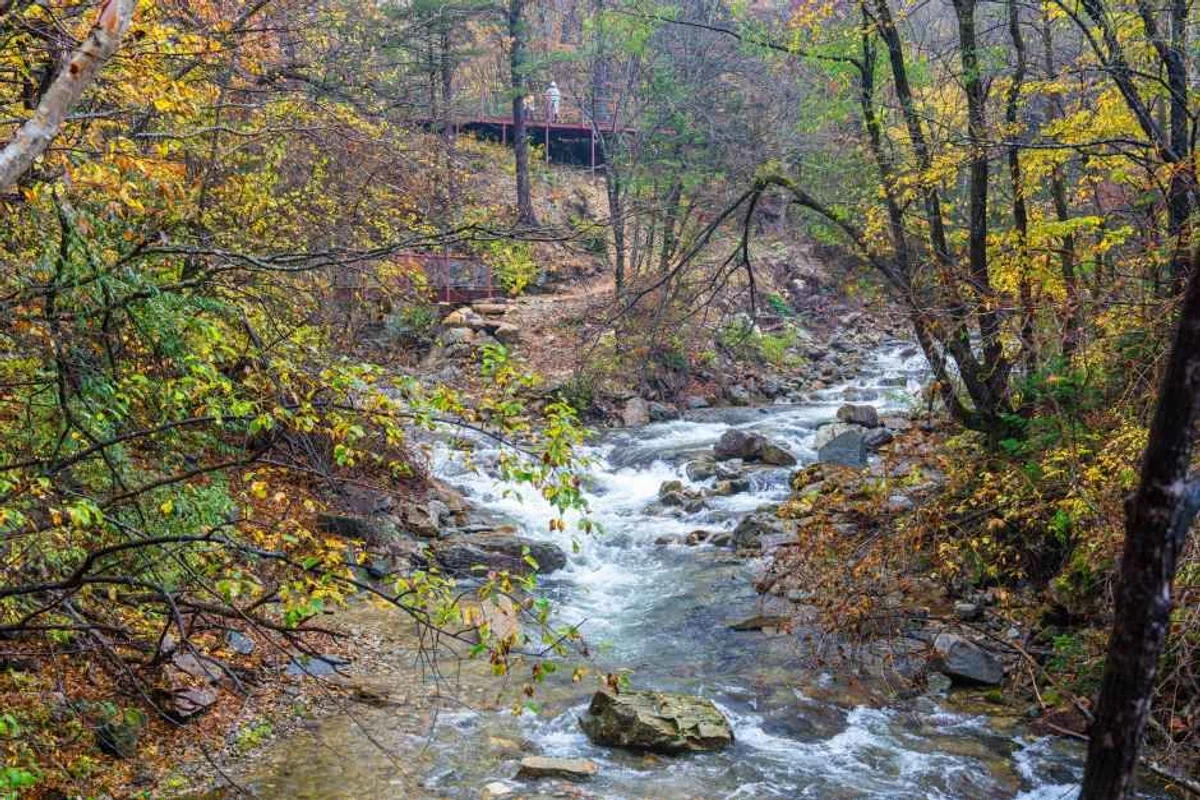 발왕산 관광케이블카 - 평창 여행