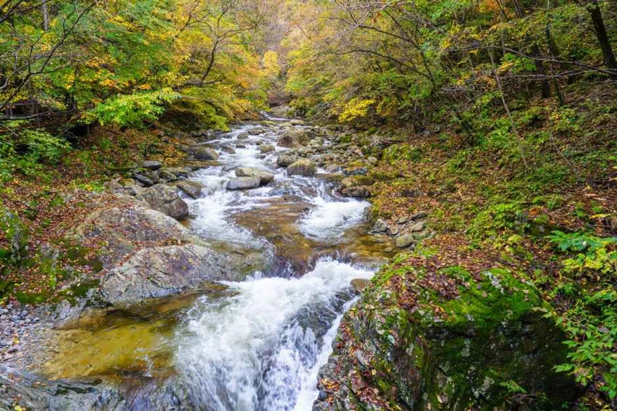 발왕산 관광케이블카 - 평창여행 여행