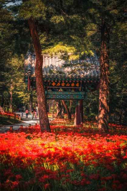 금산군 야경 명소 (출처 : 한국관광공사)