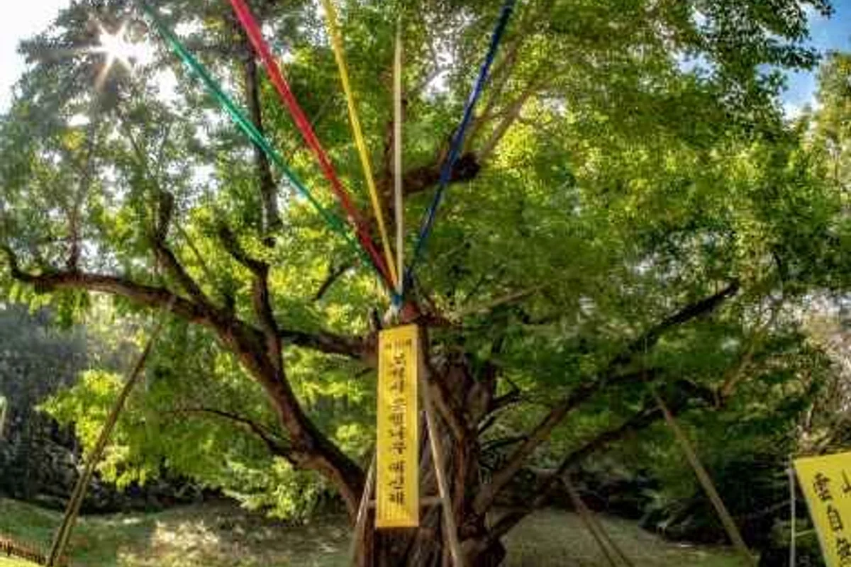 월영산 출렁다리 - 금산여행 여행