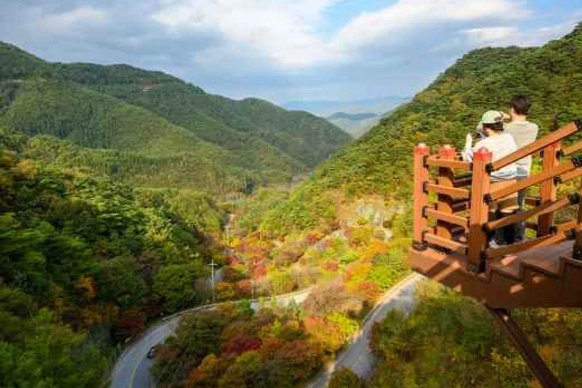 통영케이블카 드라이브 (출처 : 한국관광공사)
