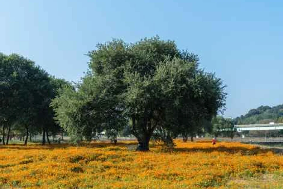 합천영상테마파크 - 합천여행 여행