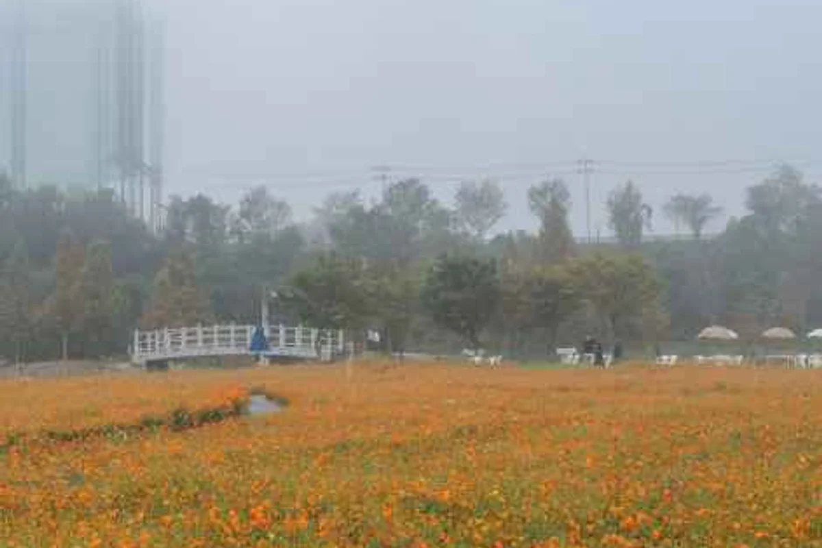 합천호 백리벚꽃길 - 합천군수목원 여행