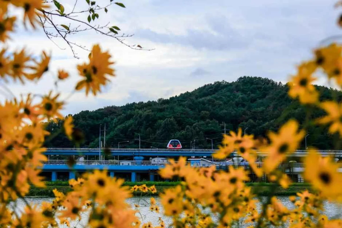 순천만국가정원 에어비앤비 추천 숙소 - 순천만국가정원 여행
