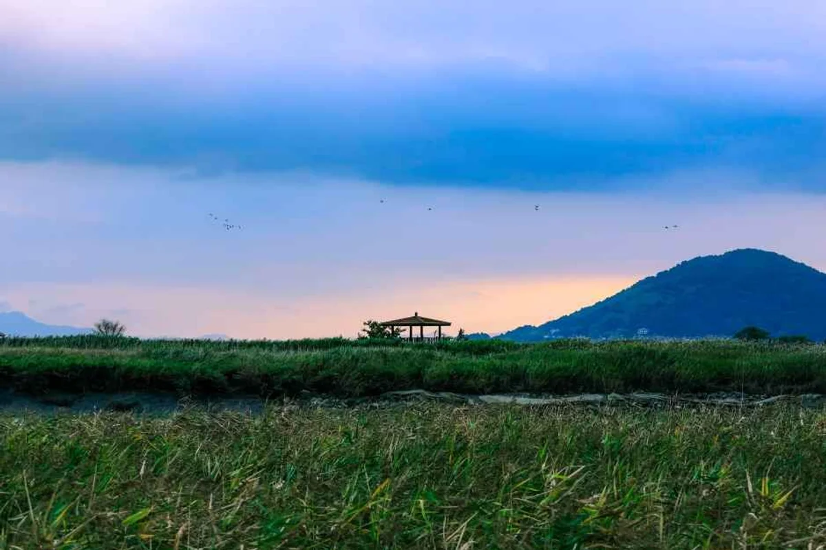 순천만습지 주말 나들이 (출처 : 한국관광공사)