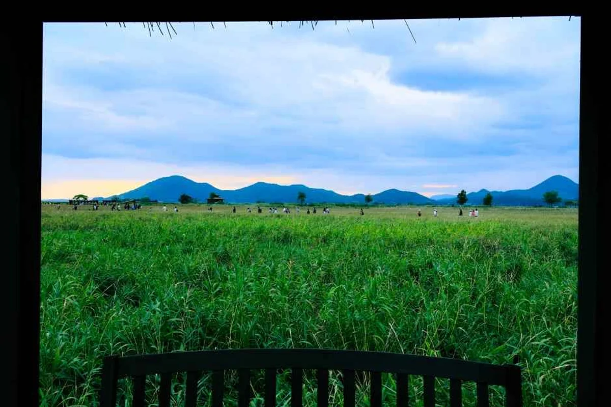 순천만습지 - 순천여행 여행